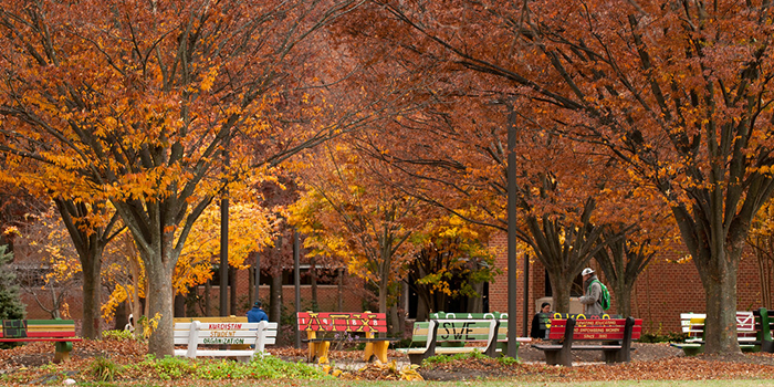 Student Benches in Fall