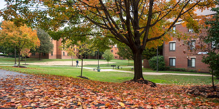 "Fall at the Fairfax Campus"