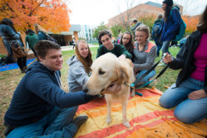 students interact with therapy dogs